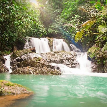 Naguala Jungle Lodge Drake Bay Luaran gambar