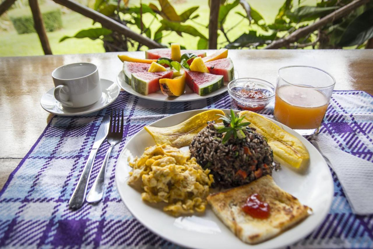 Naguala Jungle Lodge Drake Bay Luaran gambar