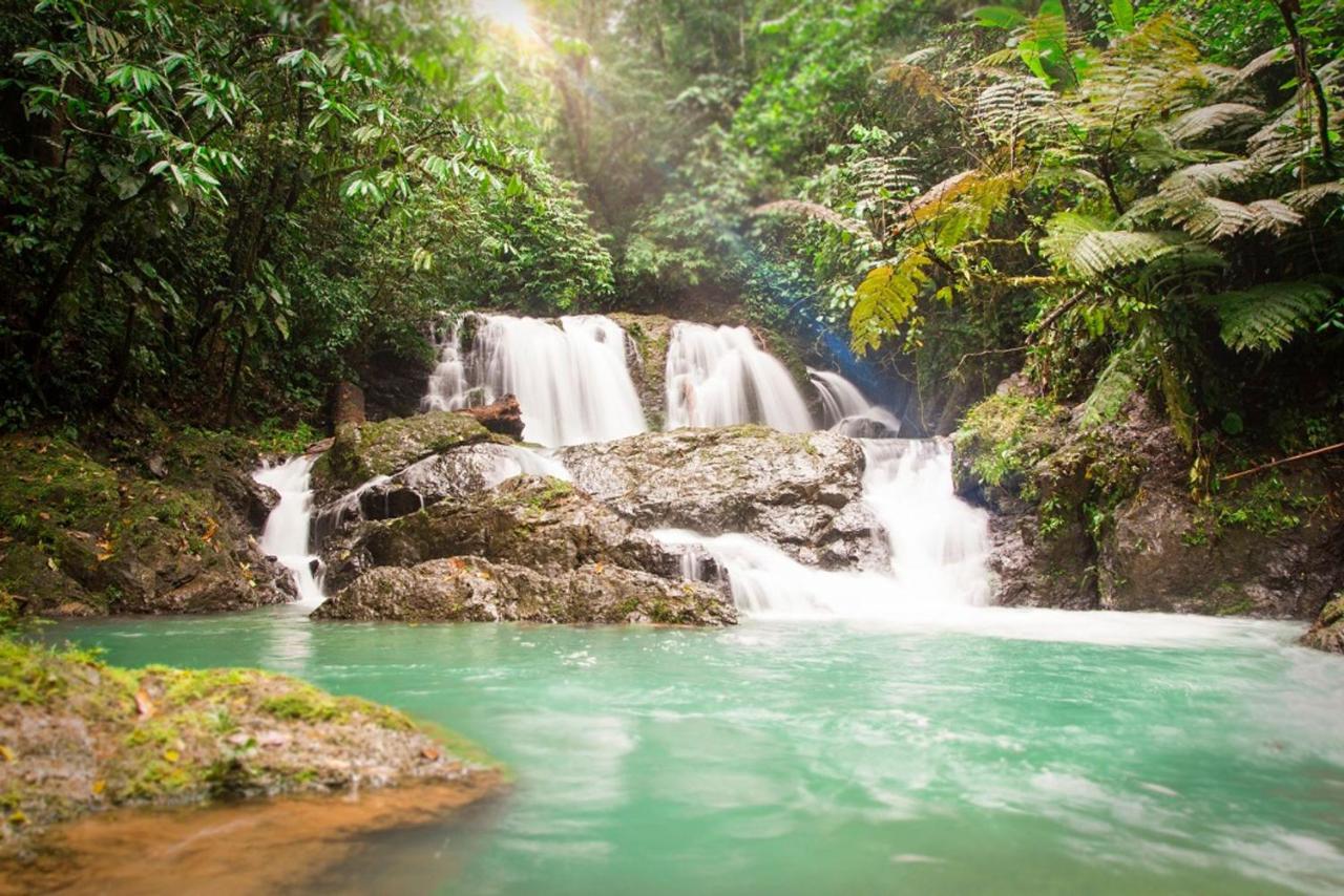 Naguala Jungle Lodge Drake Bay Luaran gambar