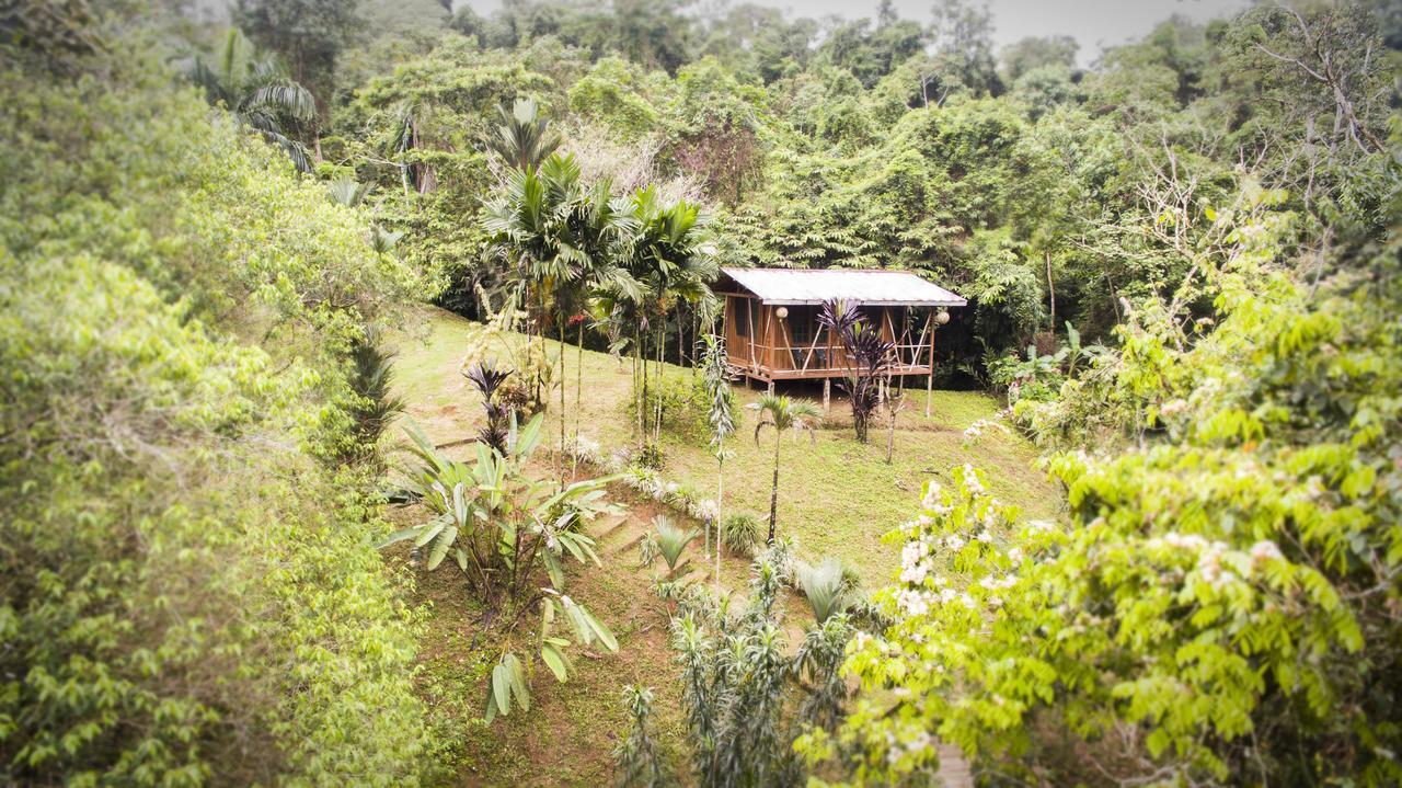 Naguala Jungle Lodge Drake Bay Luaran gambar