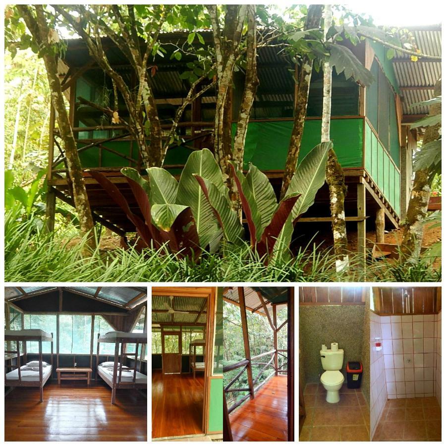 Naguala Jungle Lodge Drake Bay Luaran gambar